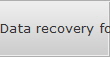Data recovery for North Las Vegas data
