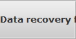 Data recovery for North Las Vegas data
